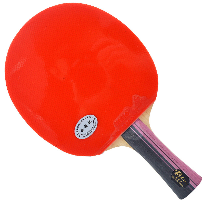 Original PALIO 3 Stars Carbon  - đánh giá và giá Table Tennis Kit Bag