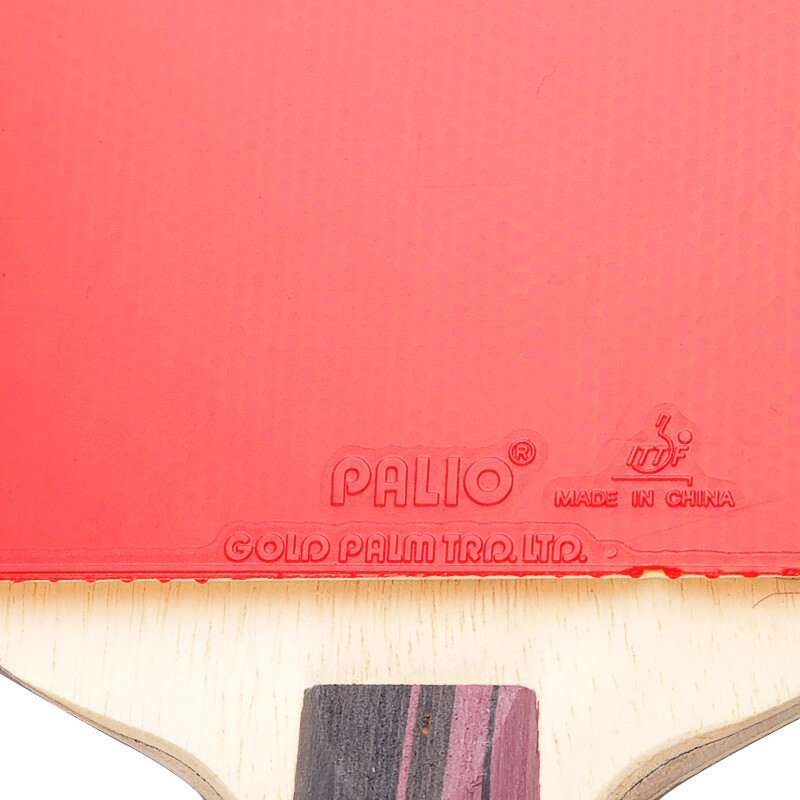 Original PALIO 3 Stars Carbon  - đánh giá và giá Table Tennis Kit Bag