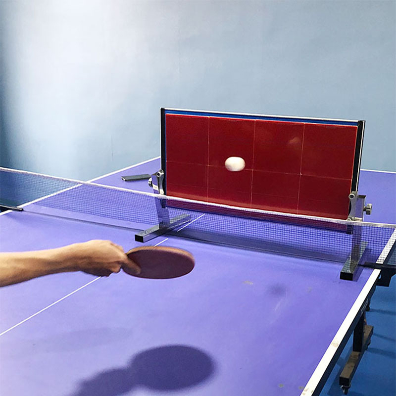Home Table Tennis Rebound Boar - đánh giá và giá Table Tennis Practice