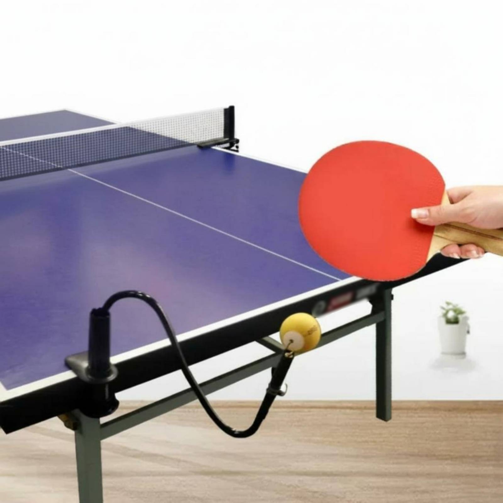Table Tennis Solo Practice Aid - đánh giá và giá Table Tennis Youtube